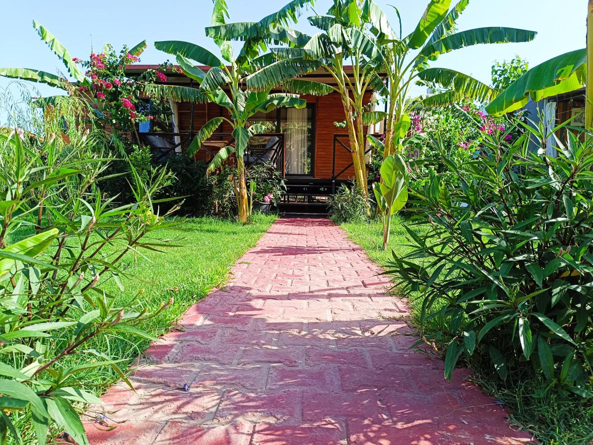 Arlin Bungalows Kemer Exteriör bild